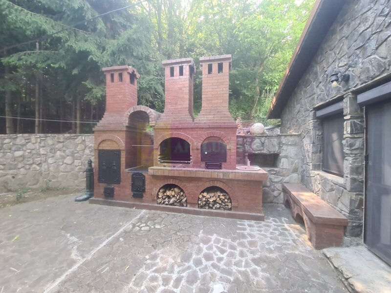 Vila de vanzare in Campina - Zona Lunca Mare